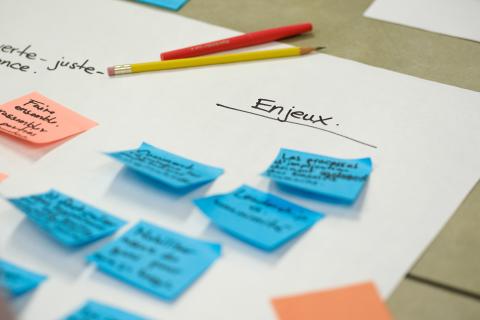 Activité de consultation